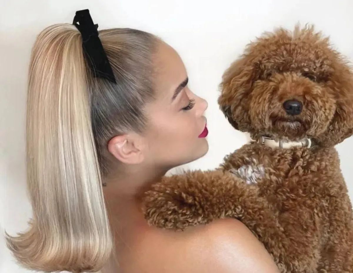 تسريحات ذيل الحصان