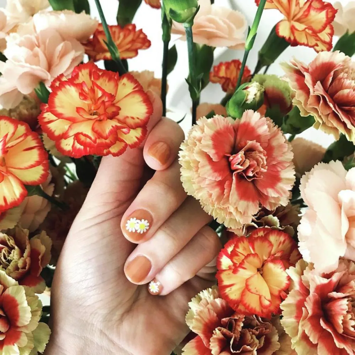 أجدد موديلات مناكير