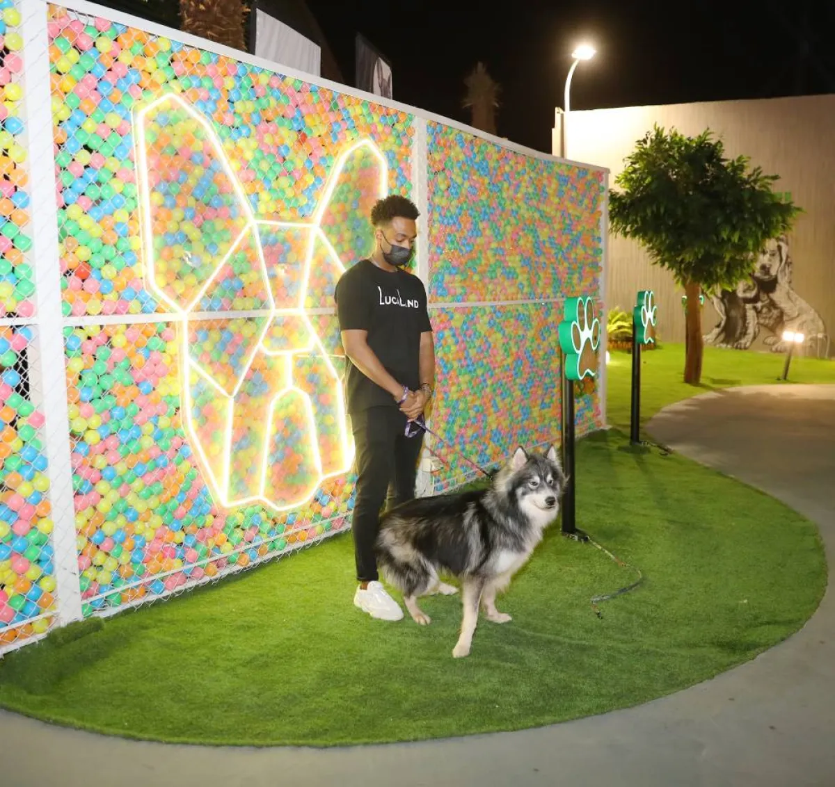 تجارب حية مع الكلاب