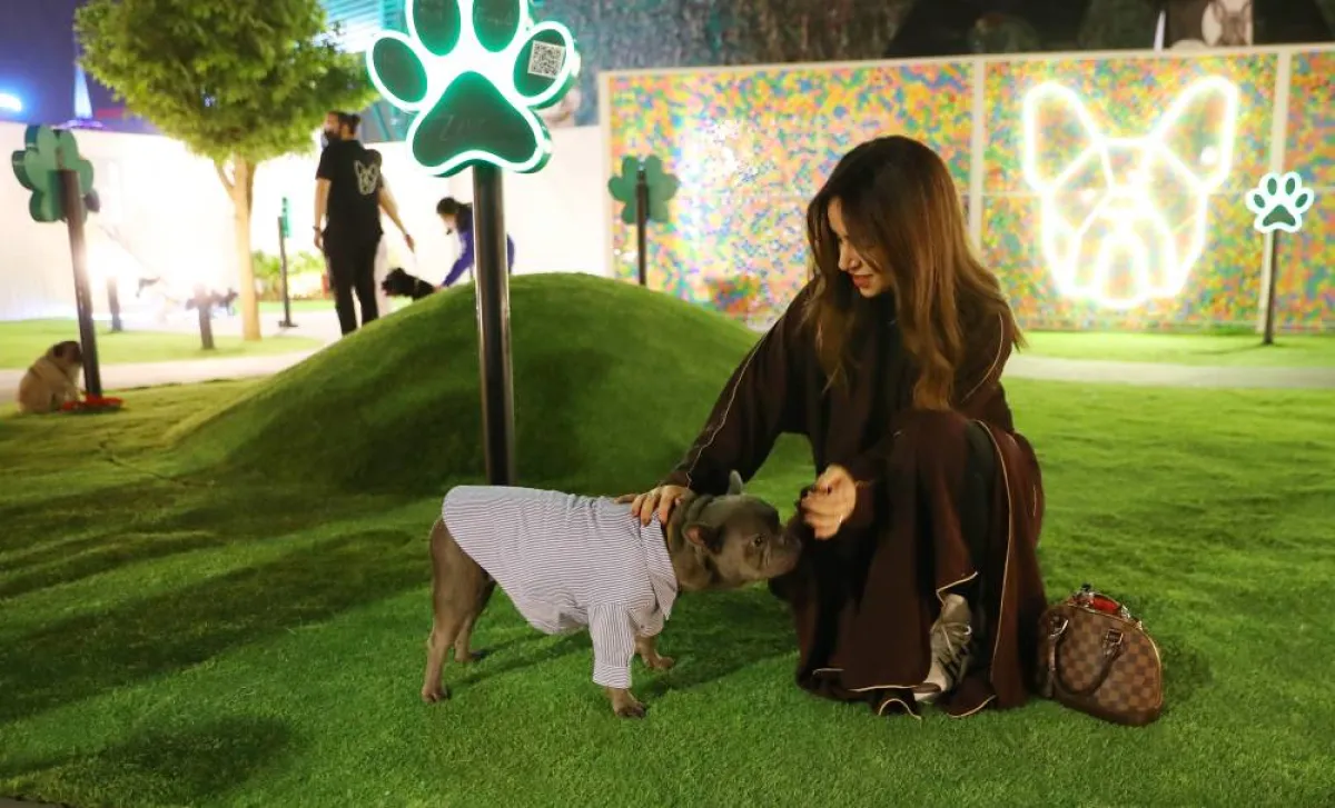 تفاعل الزوار مع الكلاب