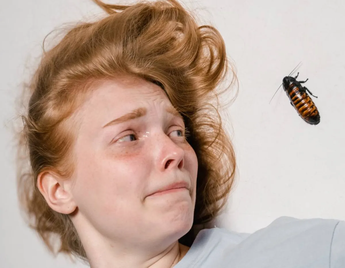 للتعرف على القلق البيئي والتغلب عليه