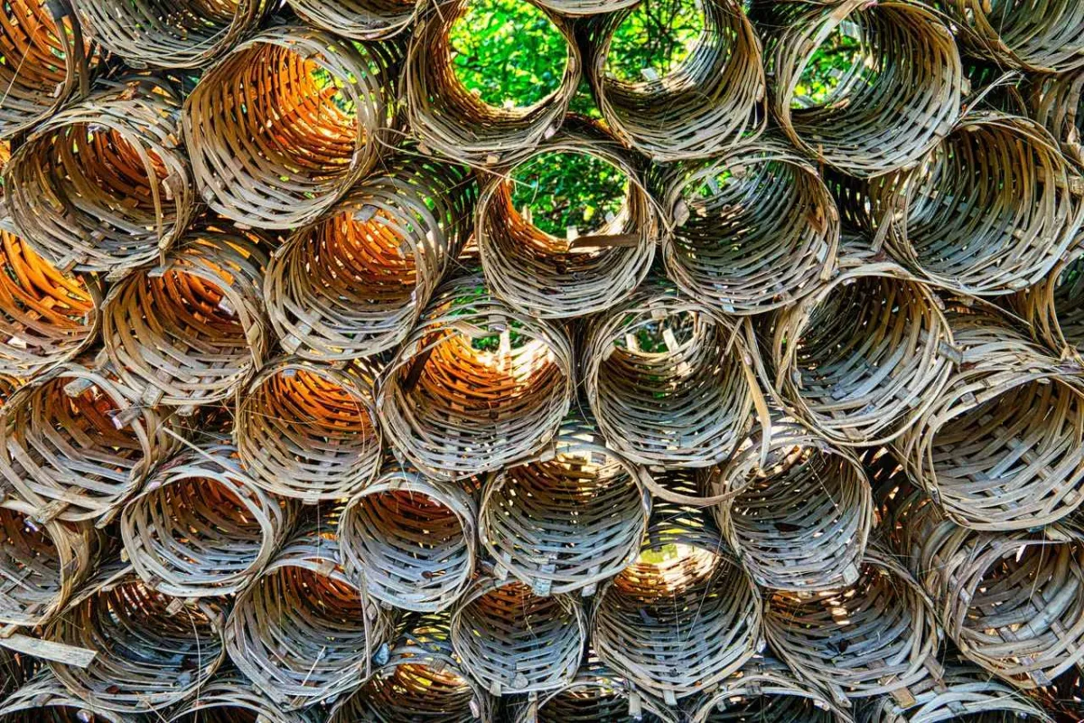 صورة لمجموعة من السلال 