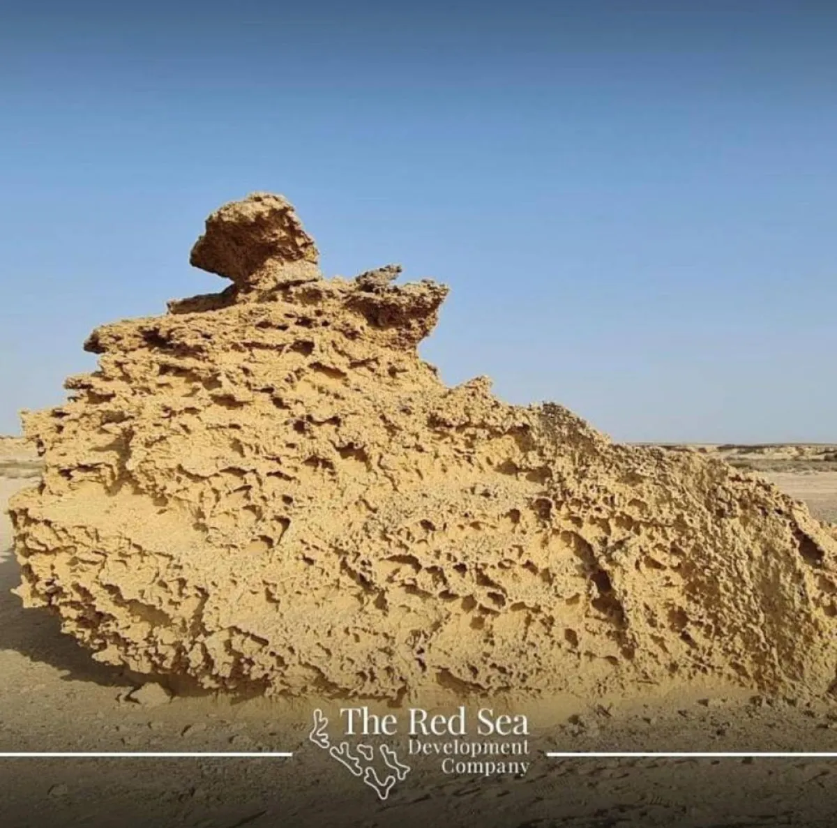 شركة البحر الأحمر للتطوير