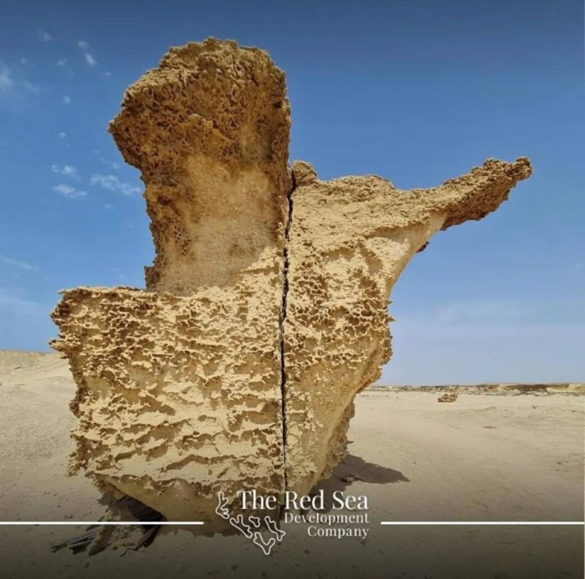 شركة البحر الأحمر للتطوير