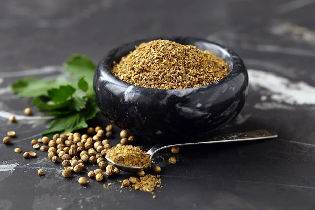 فوائد الكزبرة الناشفة عديدة ومنوّعة