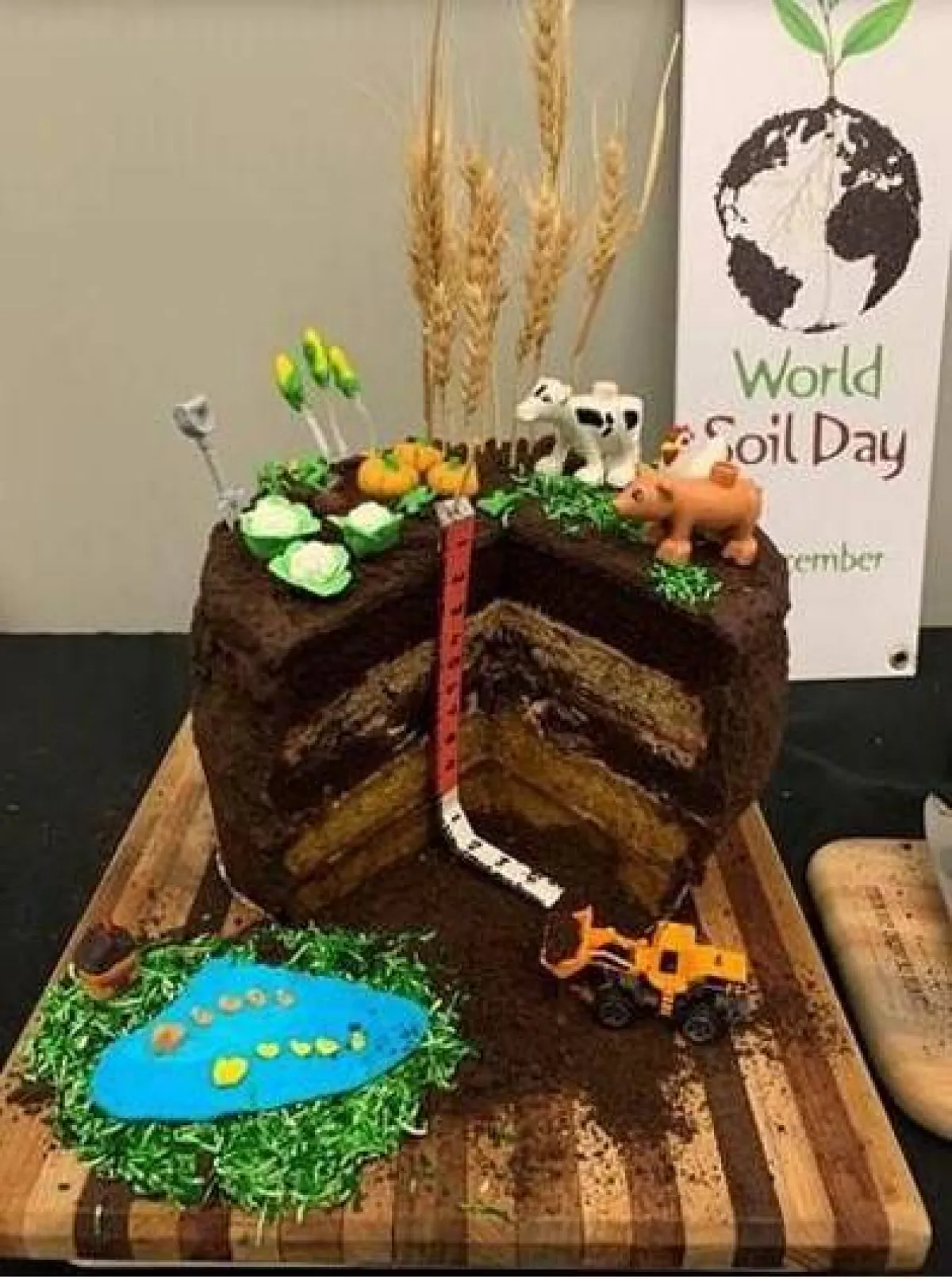 الاحتفال باليوم العالمي للتربة