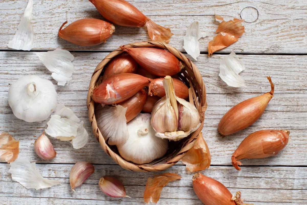صورة للثوم والبصل