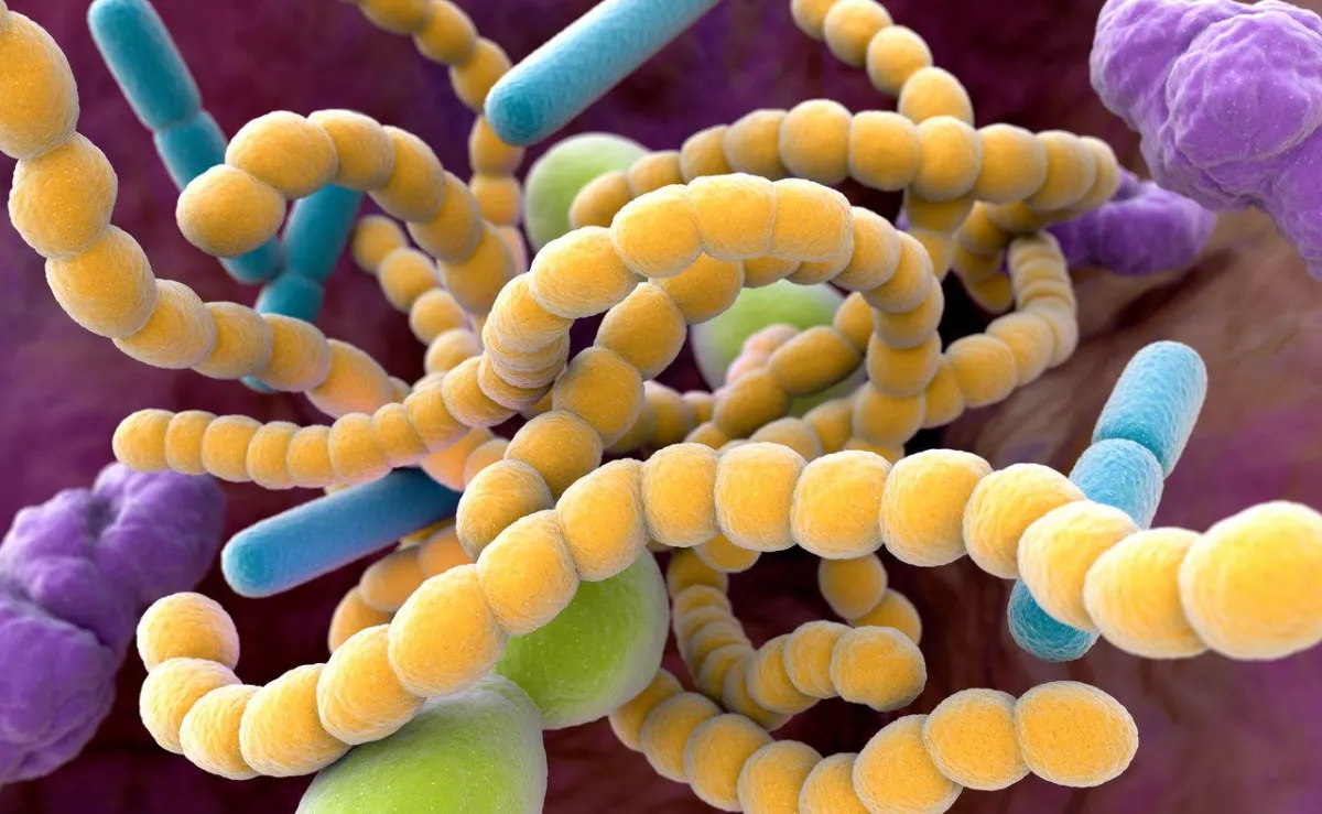 صورة للجراثيم التي تسكن في الفم