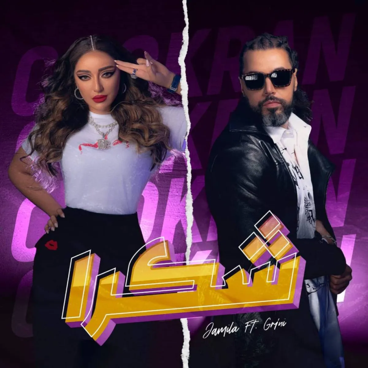 بوستر أغنية شكرا- الصورة من حساب عبد الفتاح جريني على إنستغرام