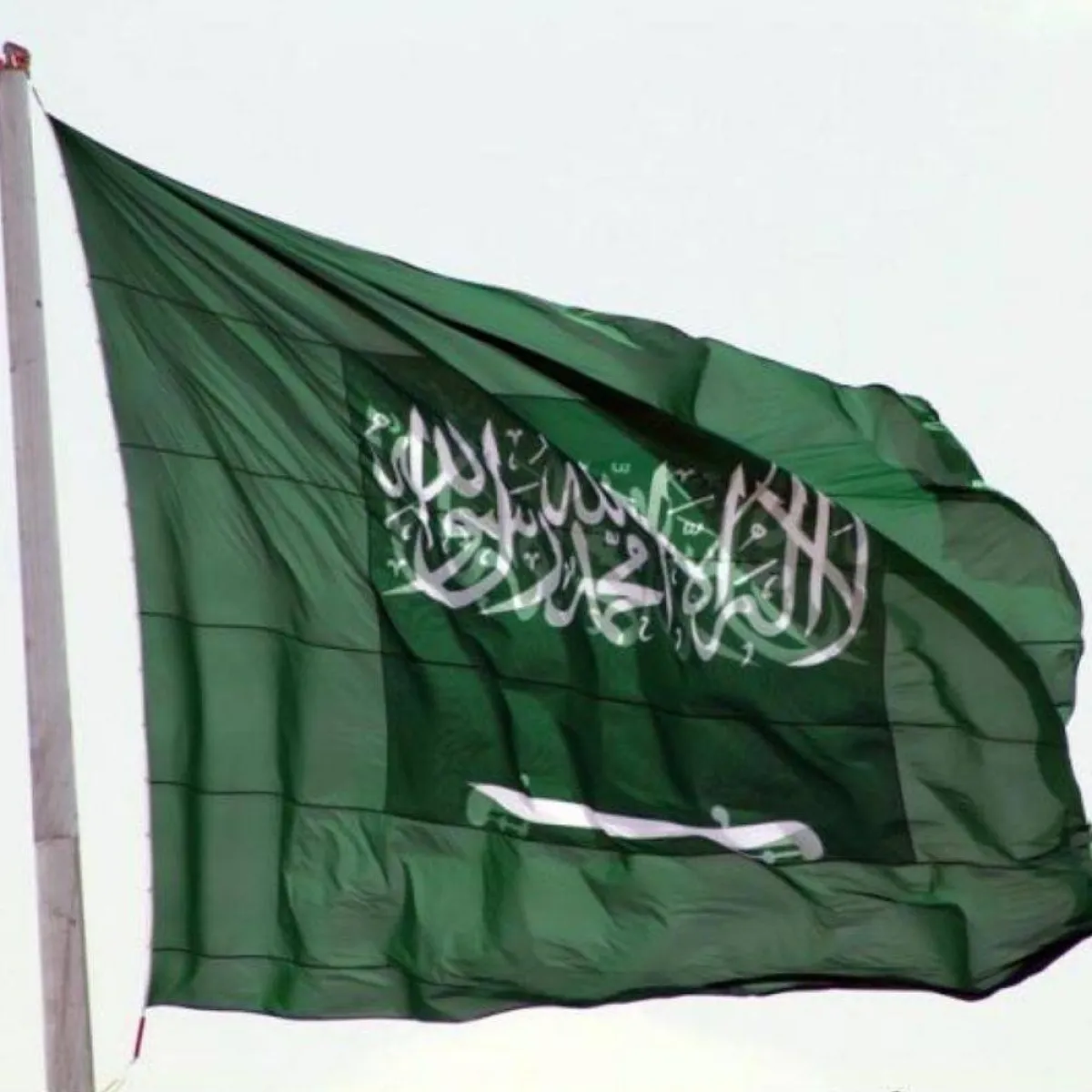 العلم السعودي