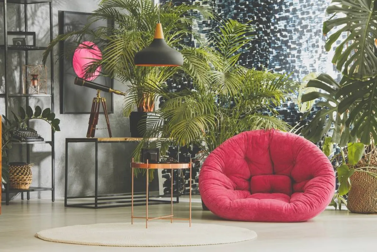 النباتات الخضر لا تغيب عن غرف المعيشة 