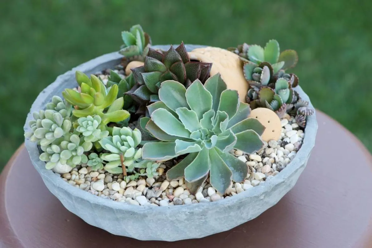 حاوية من الأسمنت تزيّن الحديقة