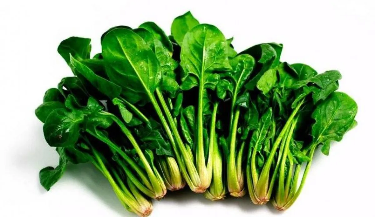 صورة لحزم من السبانخ