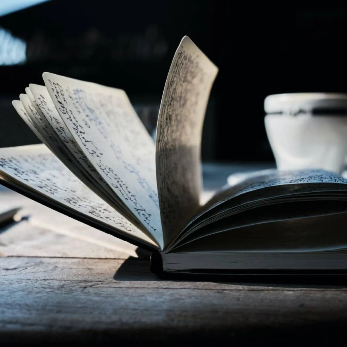 الكتابة الوظيفية والإبداعية