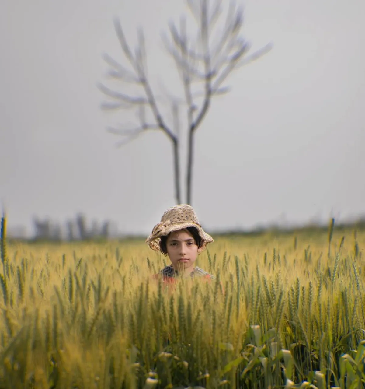 صورة تعبيرية عن نمو الدماغ