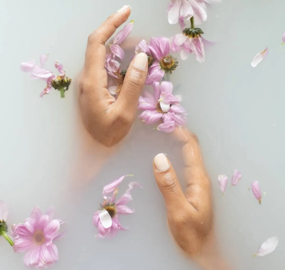 صورة تعبيرية عن النقاء