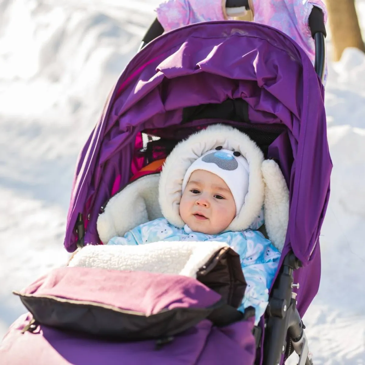 صورة لطفل داخل عربته