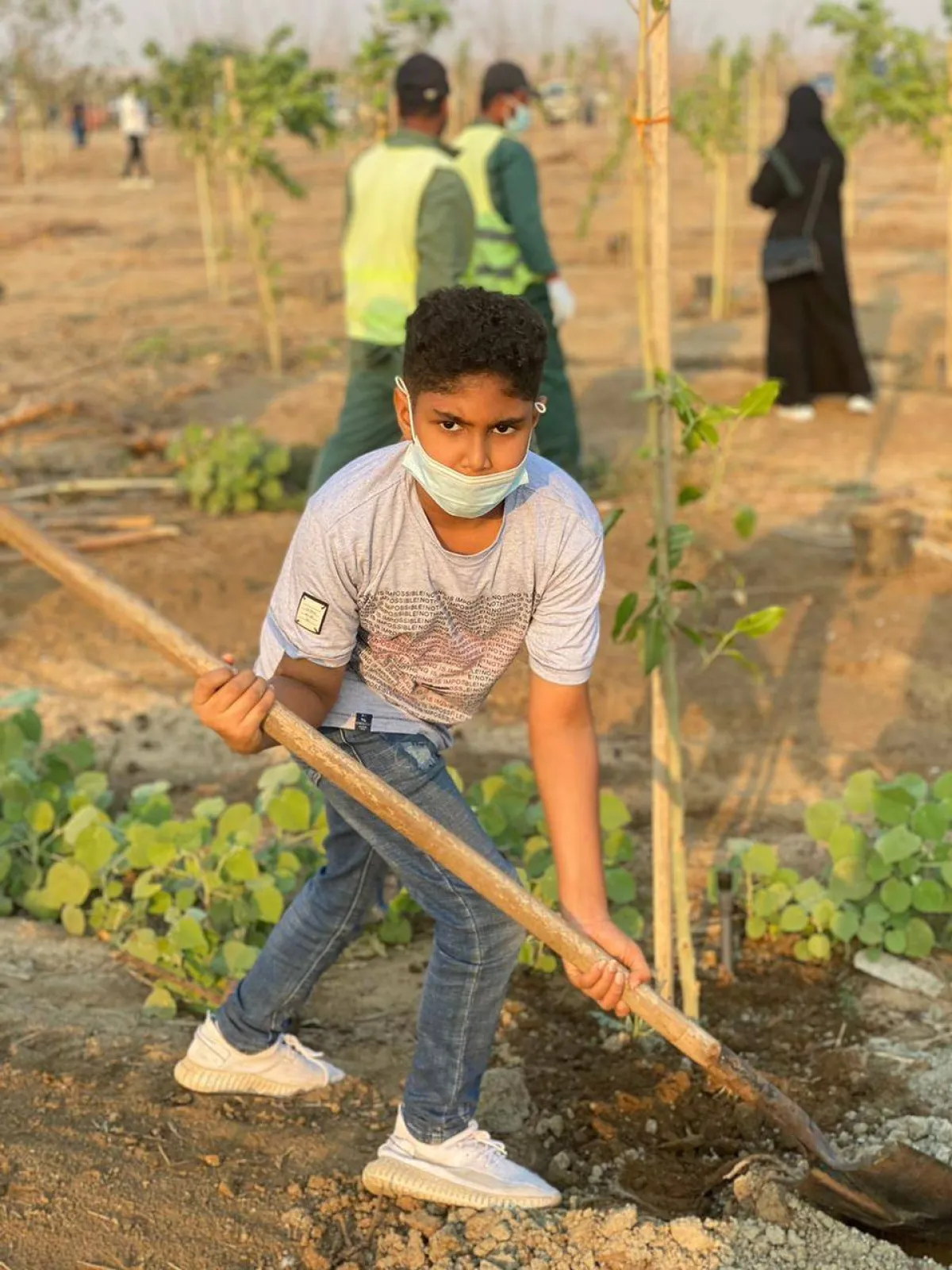 أثناء مشاركة المتطوعين في مبادرة التشجير