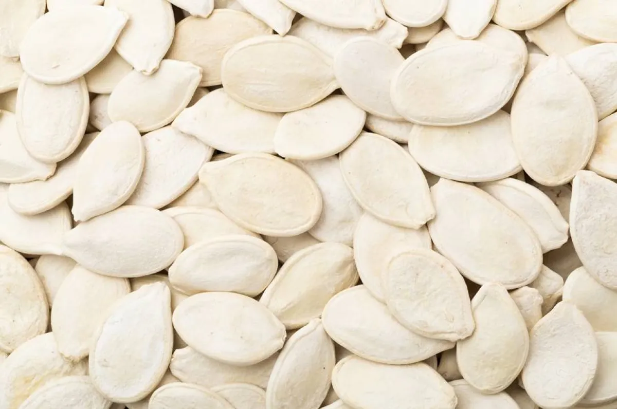 صورة لبذور اللب الأبيض الذي يعد من المسليات المحببة حول العالم