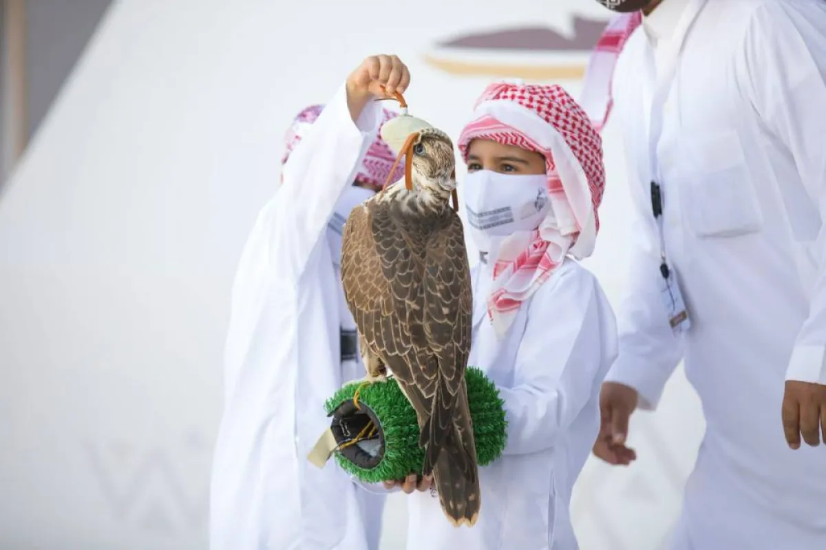 صقاري المستقبل