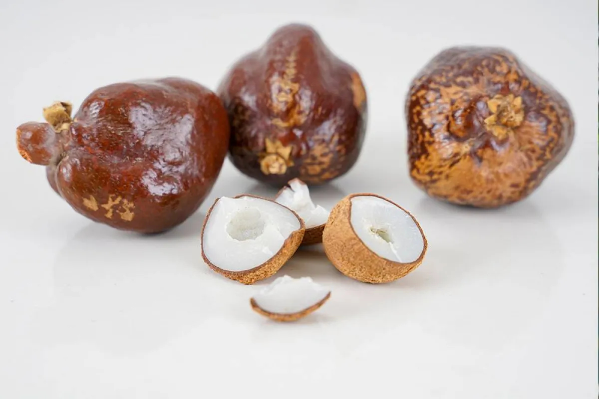 فوائد الدوم للنساء لا مثيل لها