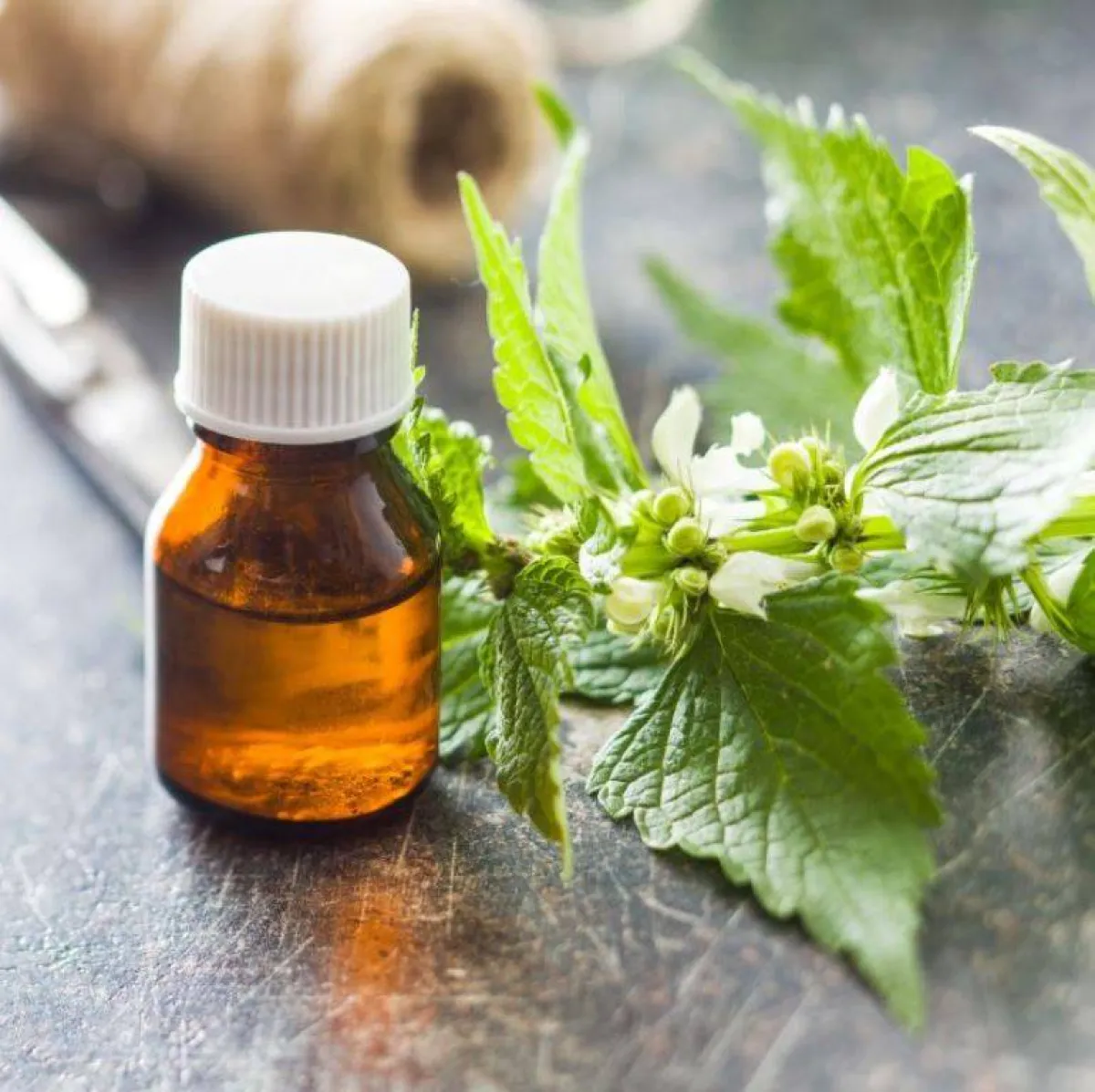 زيت شجرة الشاي