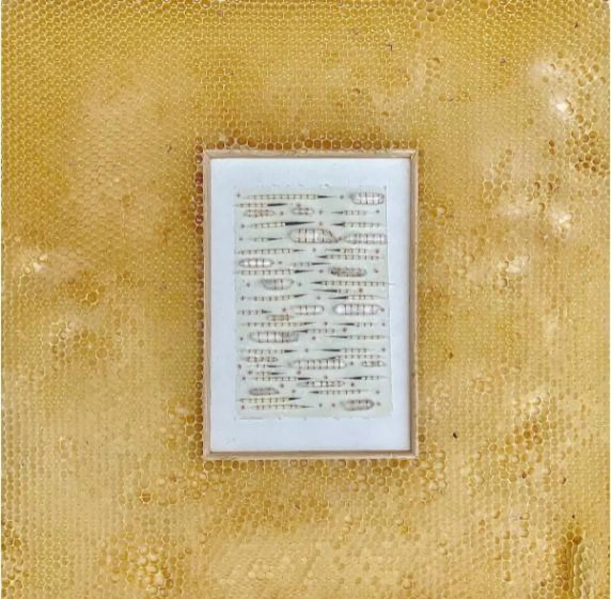 أعمال الفنانة آفا روث