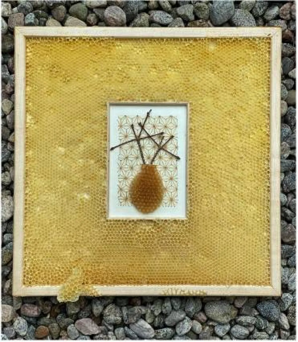 أعمال الفنانة آفا روث