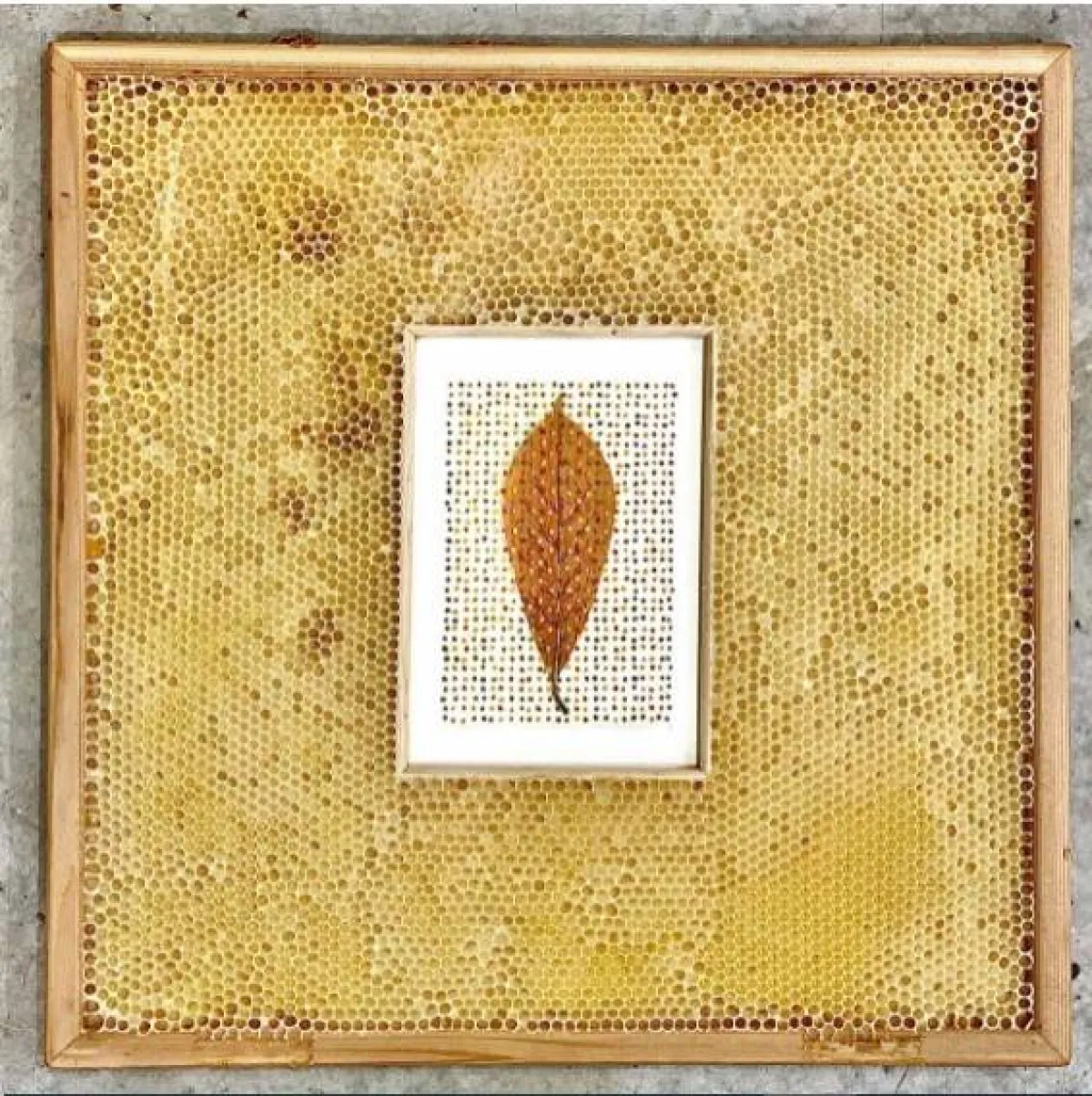 أعمال الفنانة آفا روث