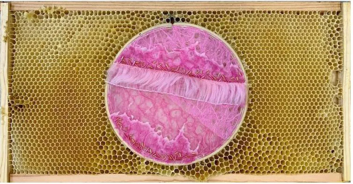 أعمال الفنانة آفا روث