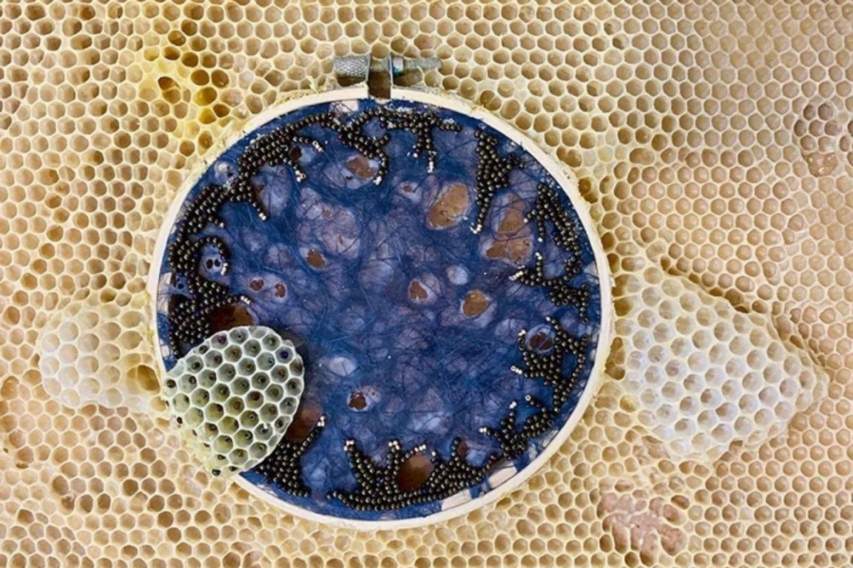 أعمال الفنانة آفا روث