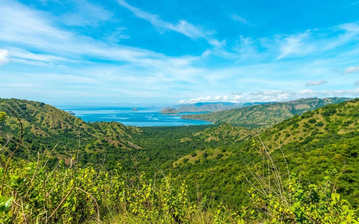حديقة جزيرة كومودو الوطنية