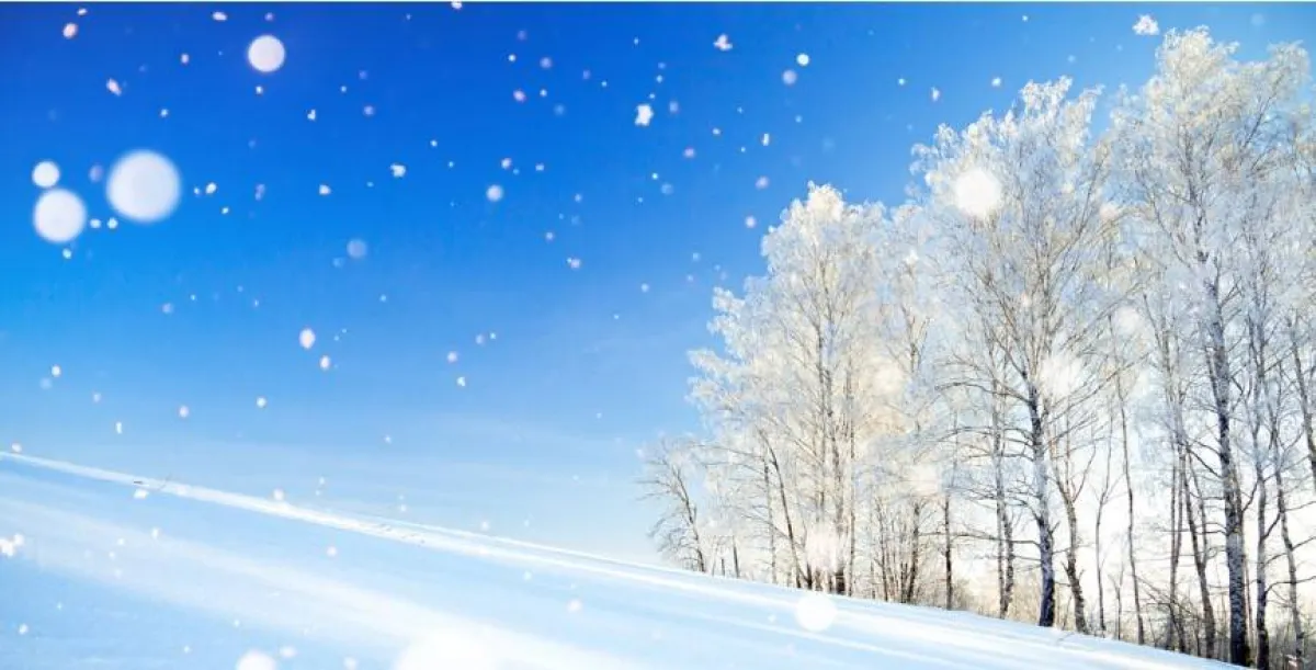 القارة القطبية الجنوبية