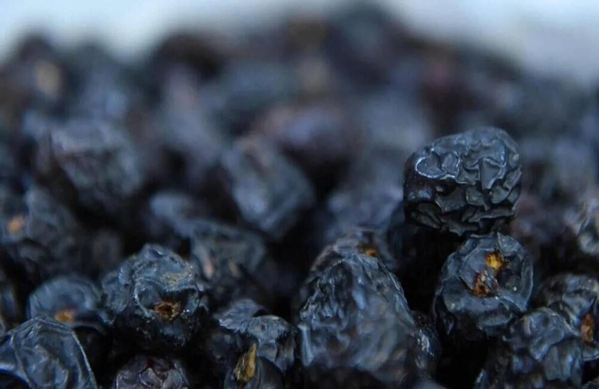  التمور السعودية تتجاوز الحدود وتصل 107 وجهات دولية