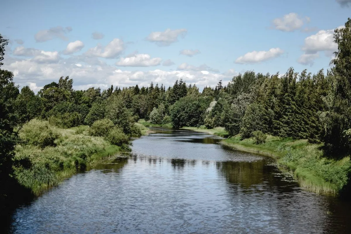 صورة لمورد الماء