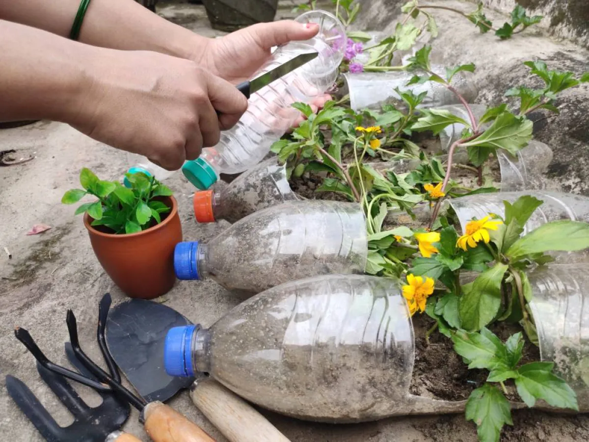 طريقة استخدام الزجاجات البلاستيكية في الزرع، بالمنزل