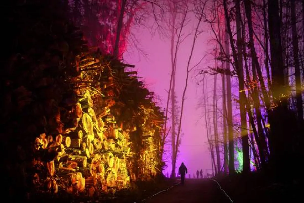 مهرجان الغابة الساحرة (لانزرهايد) بسويسرا تحتفل برأس السنة بطريقتها 