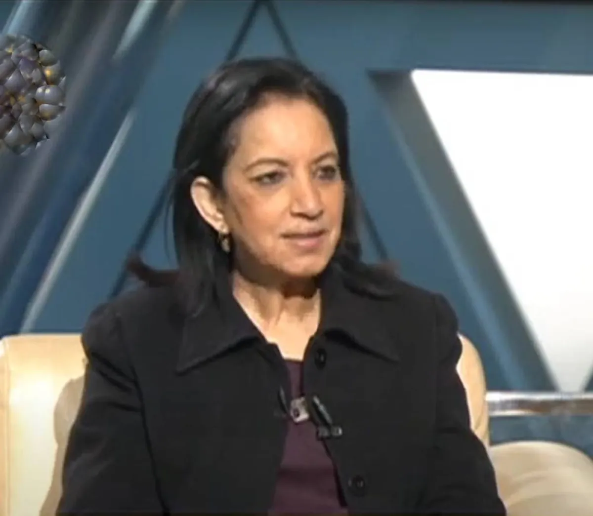 الخبيرة المصرية نهال إمام تفوز بعضوية التقييم الدولية باليونسكو 