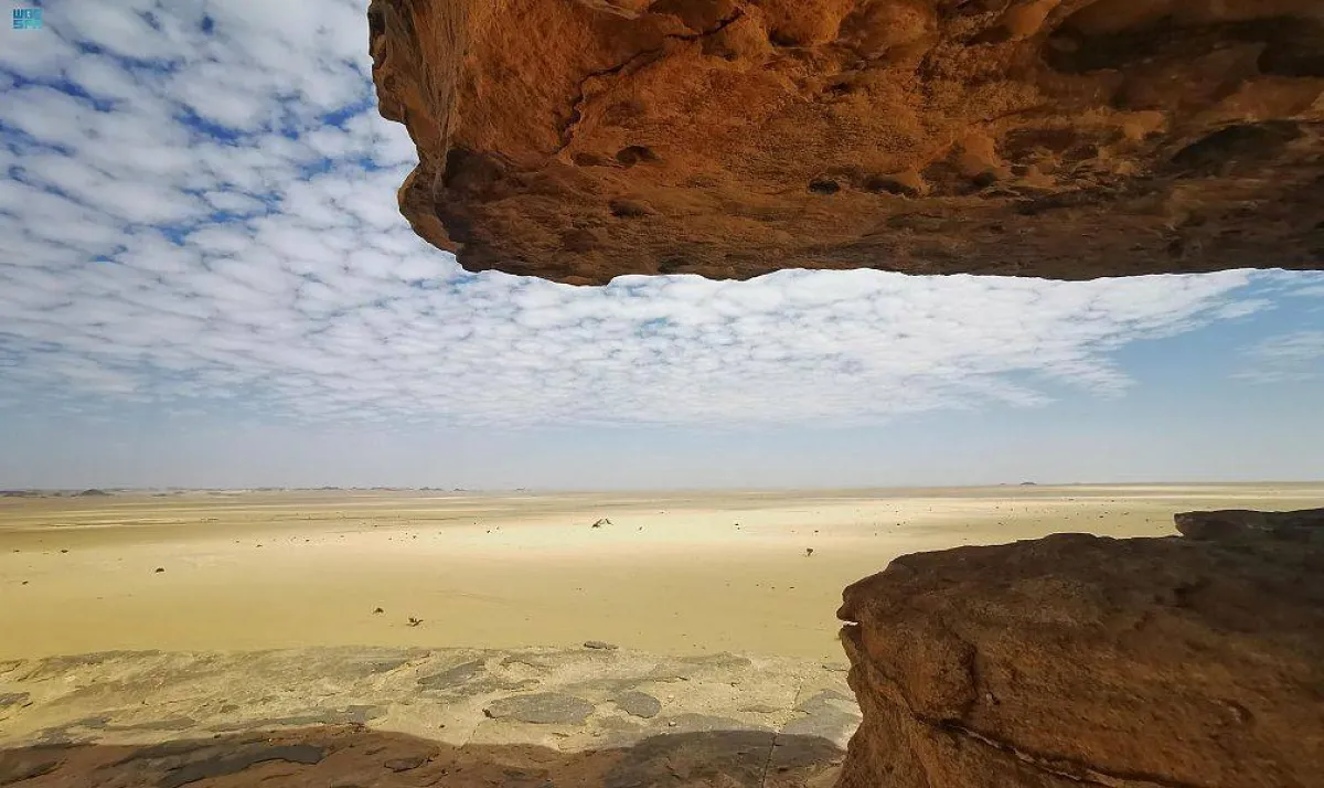 ملتقى الوطن للإبداع - الصورة من واس