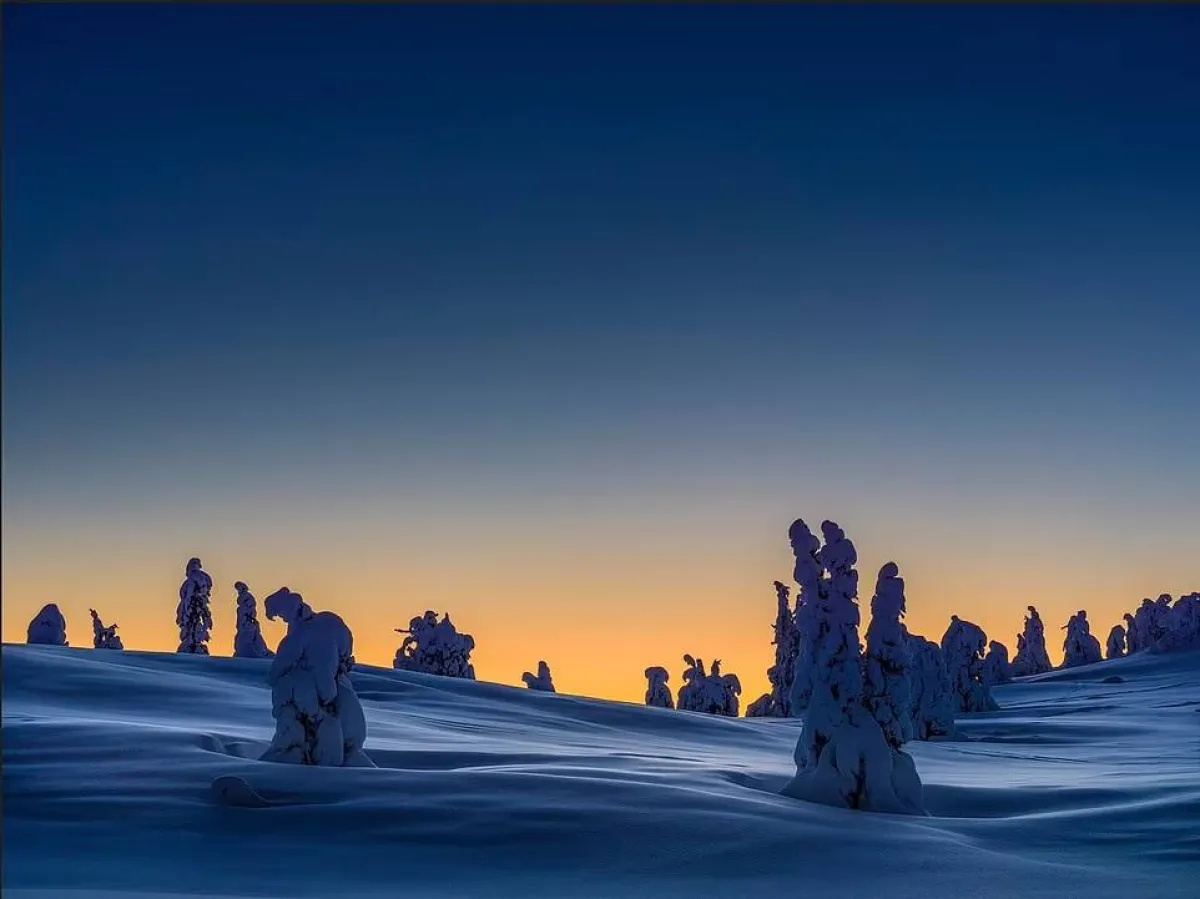 أفضل الصور البرية لعام 2021