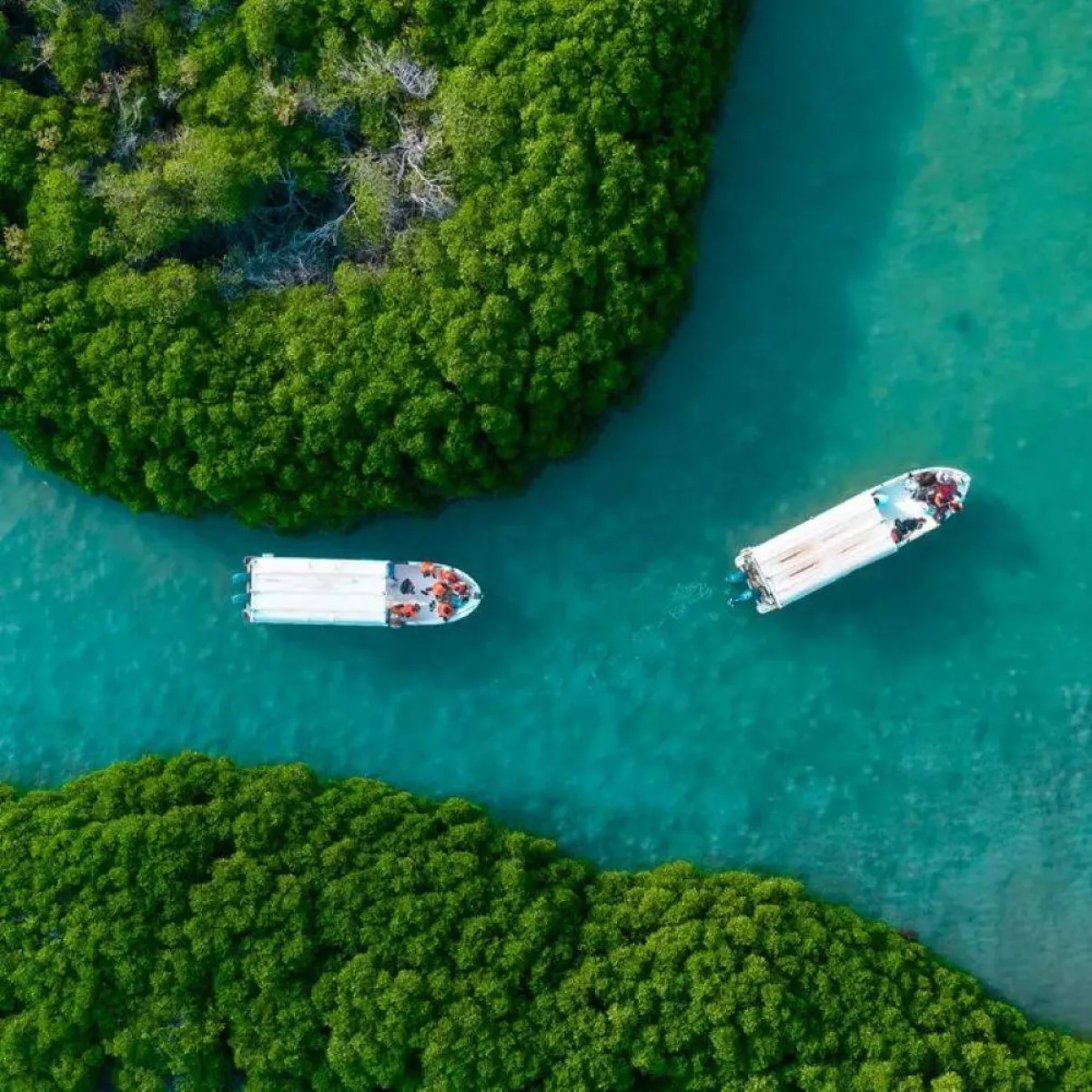 جزر الفرسان