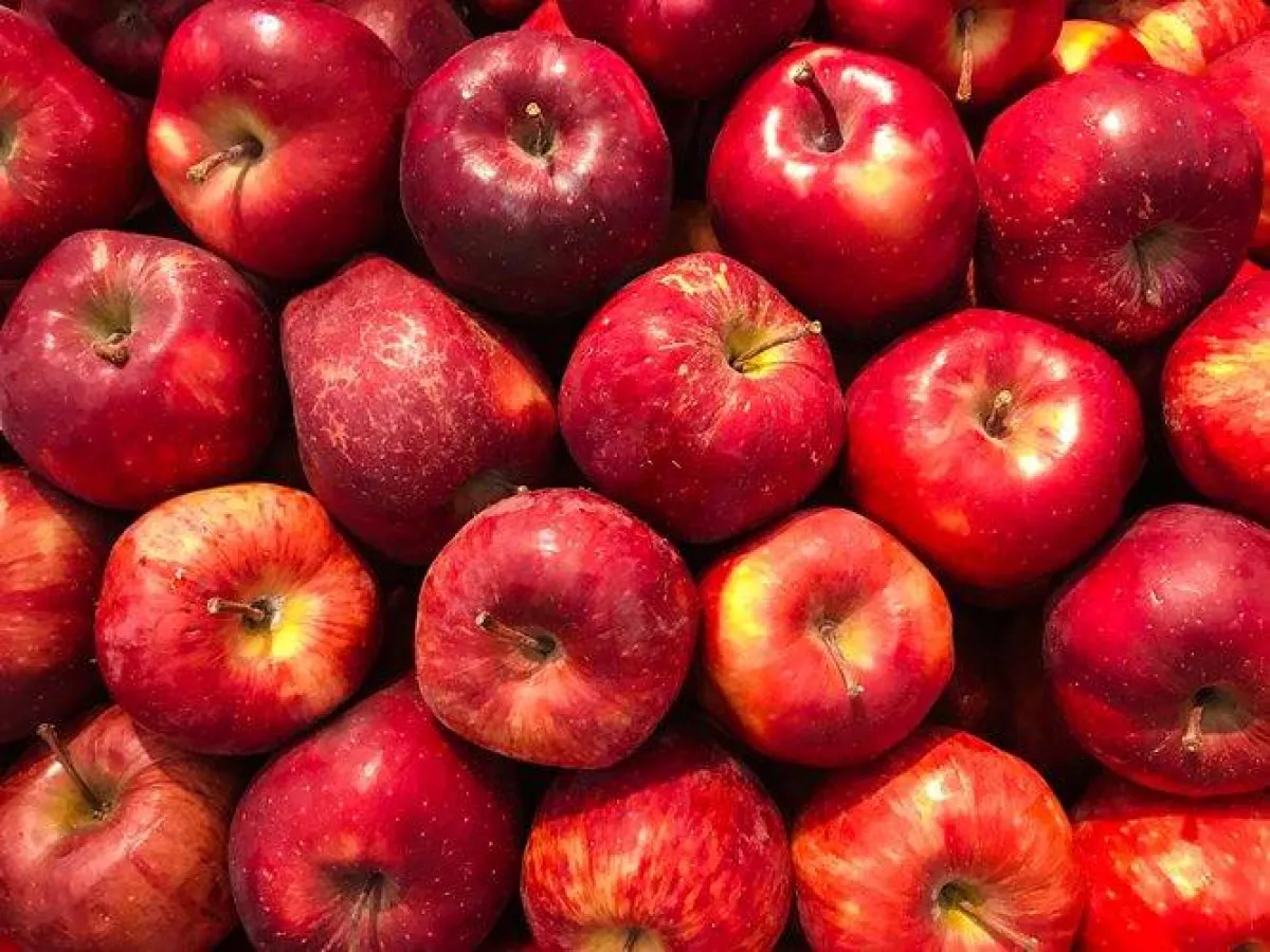 فوائد التفاح