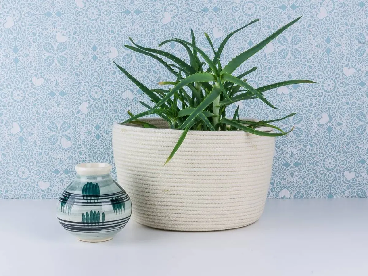 وعاء للزرع مُعدّ من الحبال القطنيّة