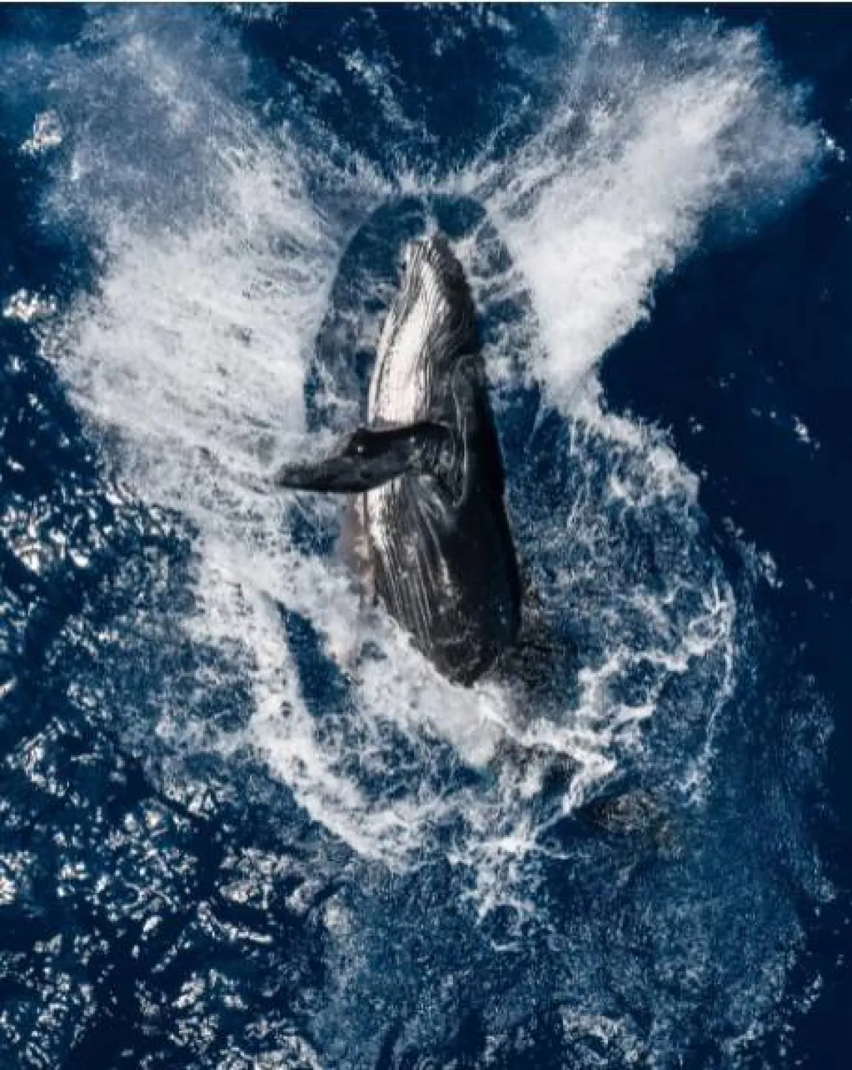 أفضل صور 2021