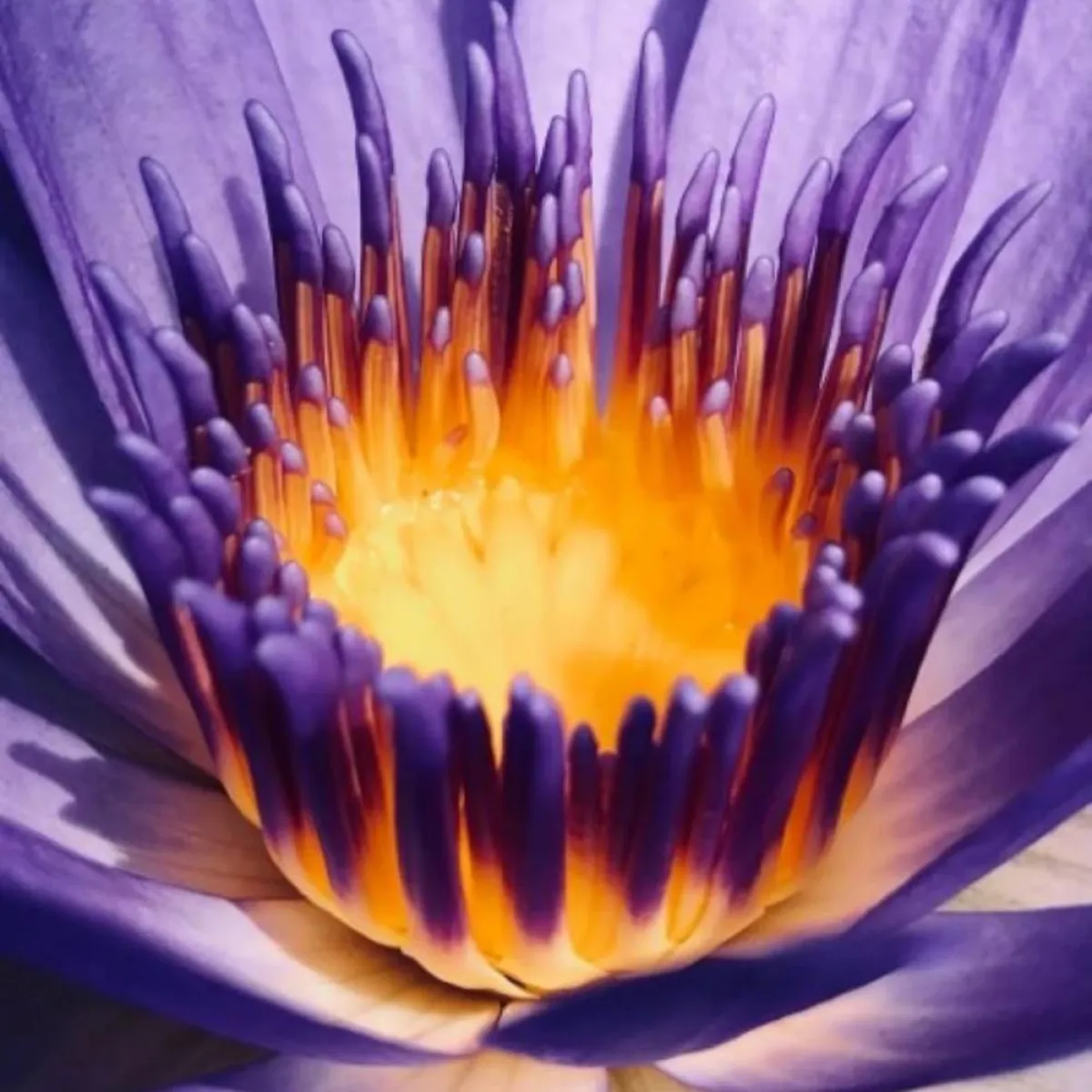 أفضل صور 2021