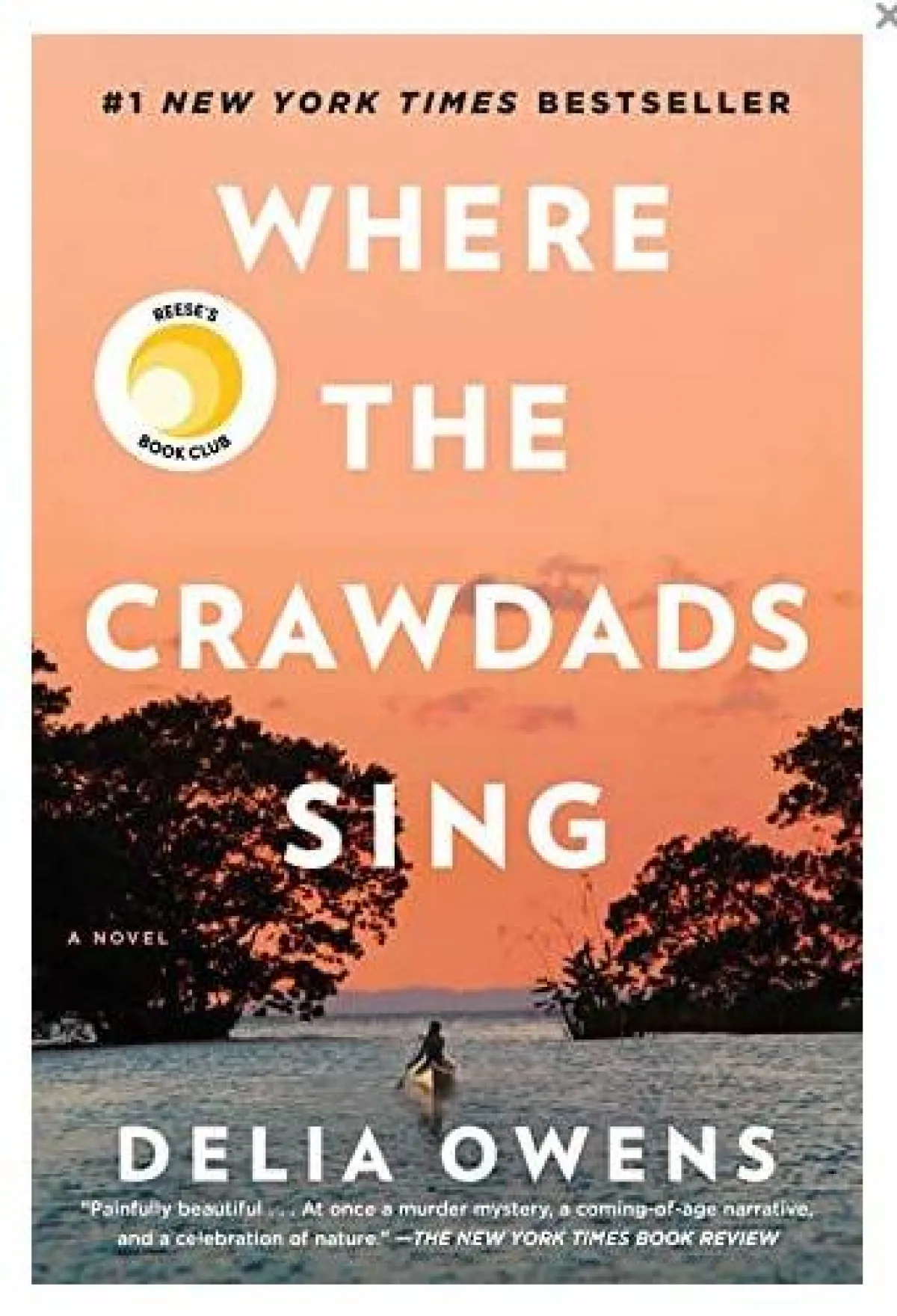 كتاب حيث يغني كوردادس