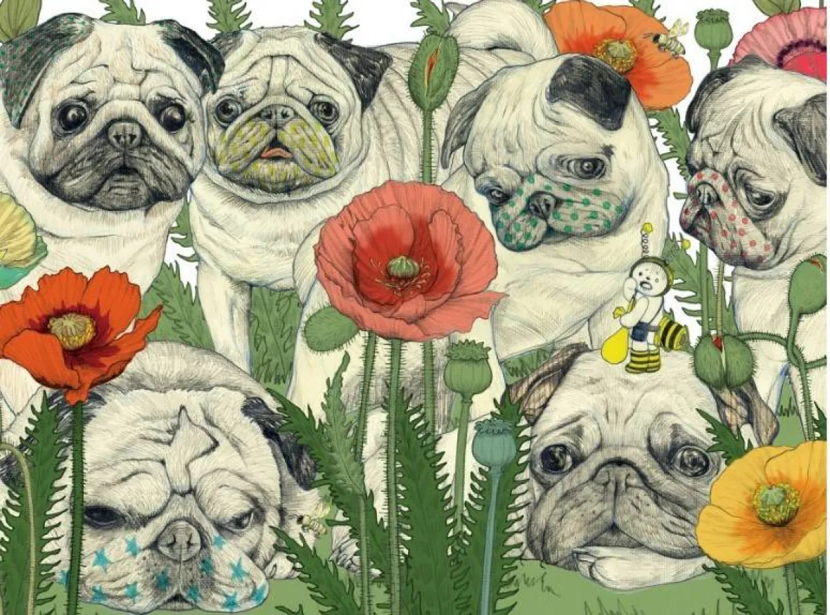 أعمال ماي كوهارا 