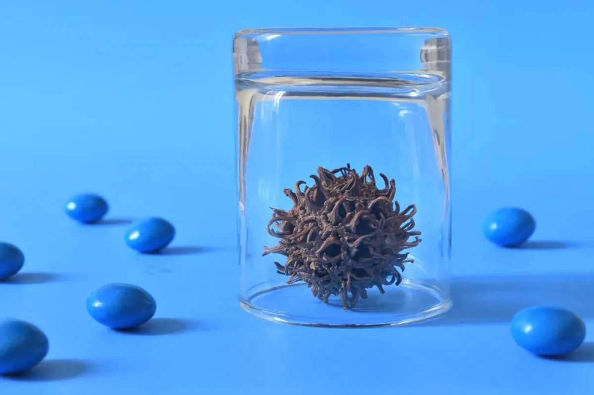 صورة لفيروس أوميكرون