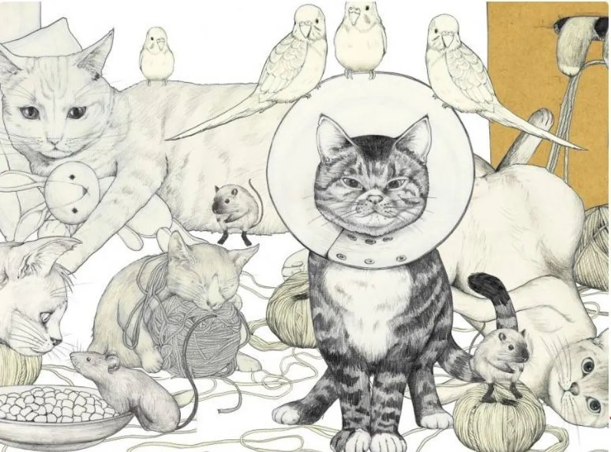 أعمال ماي كوهارا 