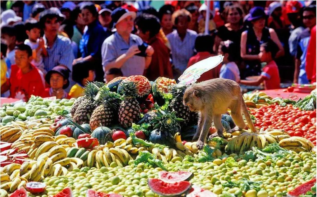 مهرجان القرود في تايلاند